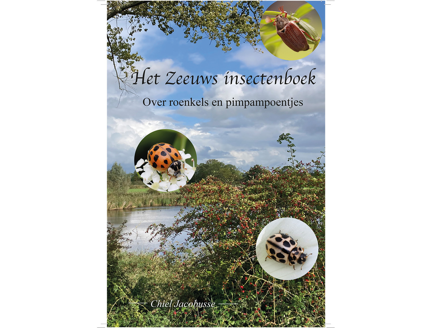 Zeeuws Insectenboek_dummy-1